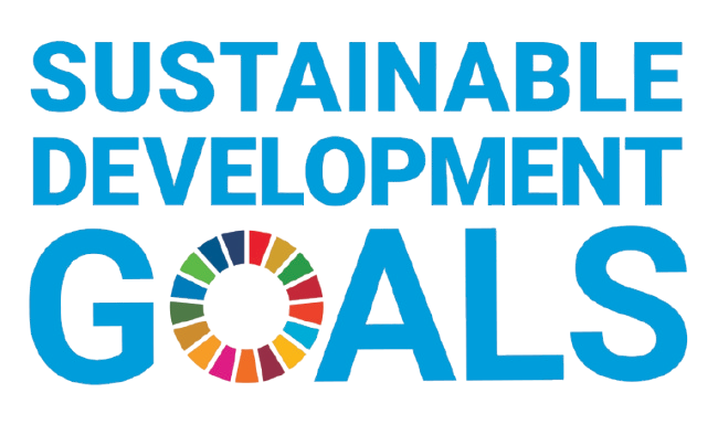 Sustainable Innovation